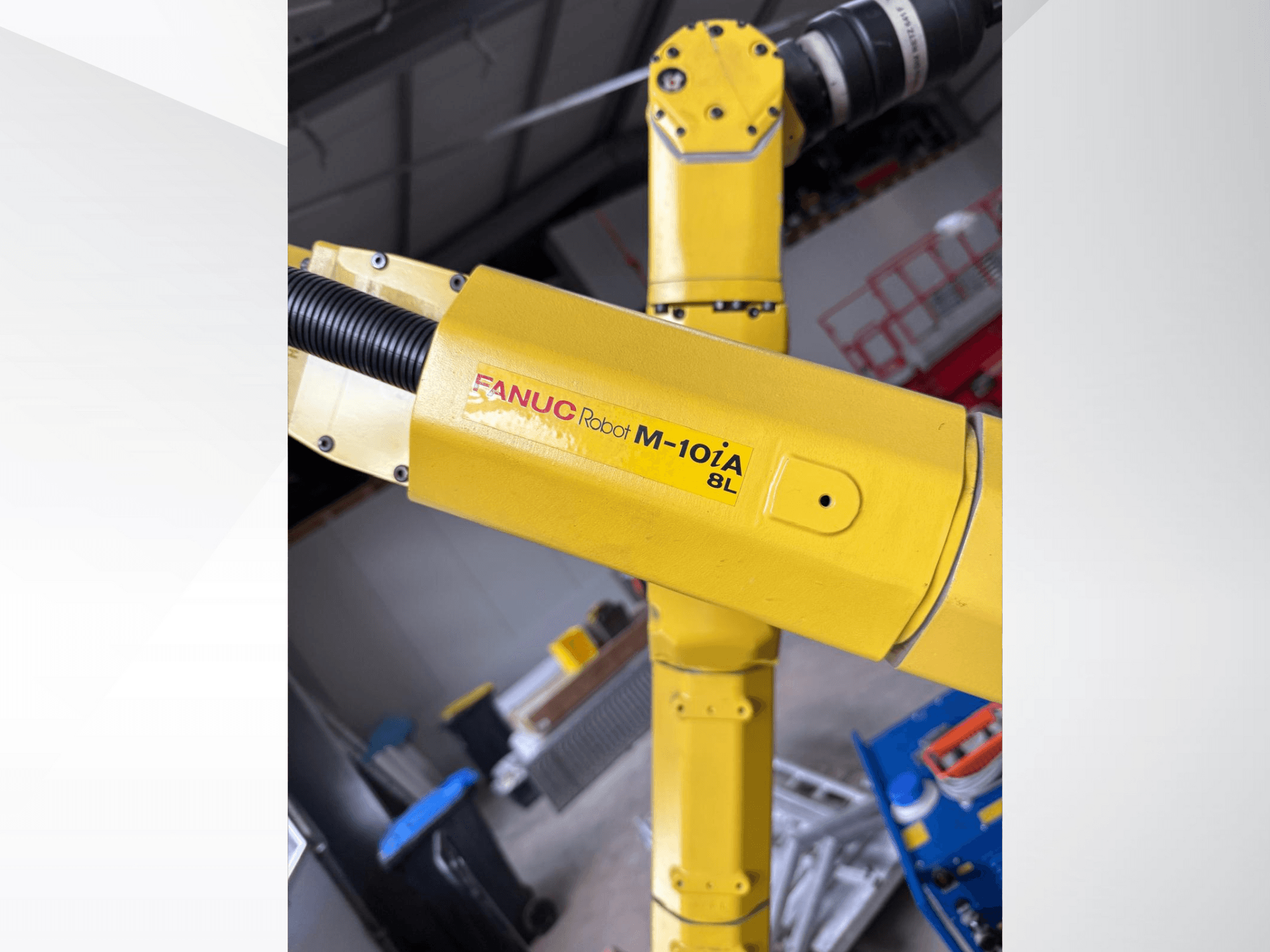 Robô FANUC M-10iA 8L em amarelo, visto de lado, mostrando a articulação do braço e os componentes mecânicos num ambiente industrial.